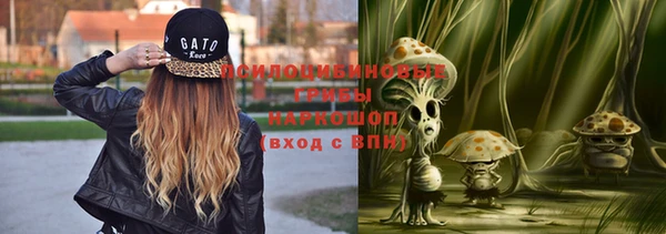 альфа пвп Алзамай