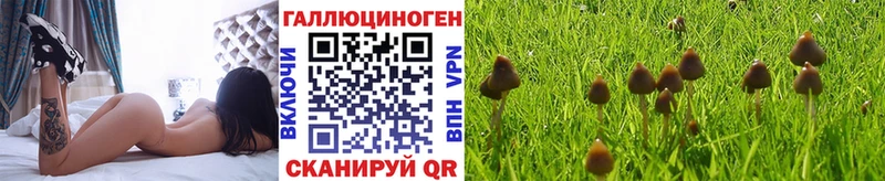 Галлюциногенные грибы Cubensis  Красногорск 
