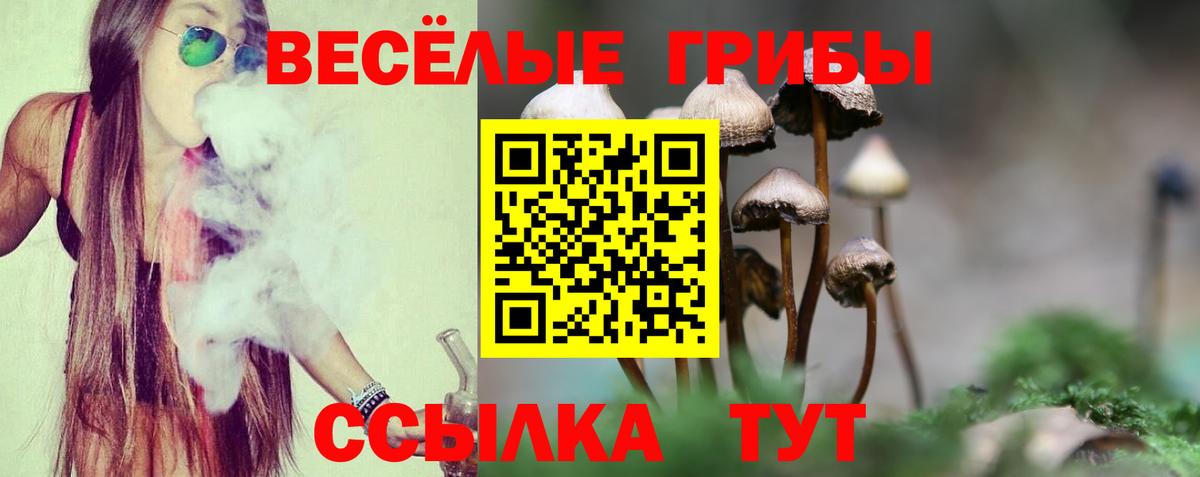 Псилоцибиновые грибы Cubensis  Галлюциногенные грибы ЛСД  Вход с VPN  Красногорск 